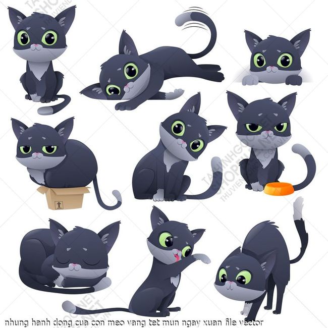 nhung hanh dong cua con meo vang tet mun ngay xuan file vector